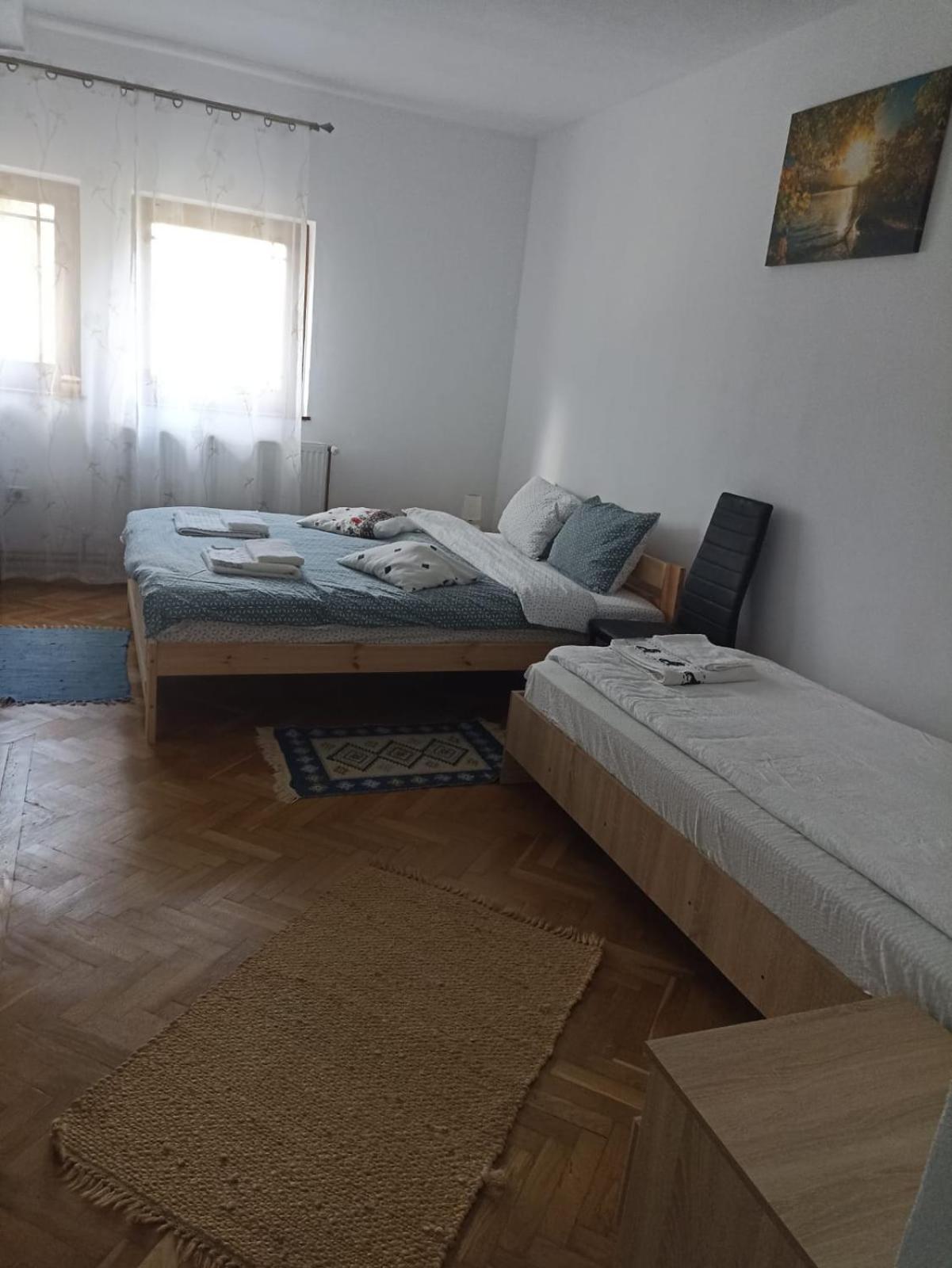 Pensiunea Costesti מראה חיצוני תמונה